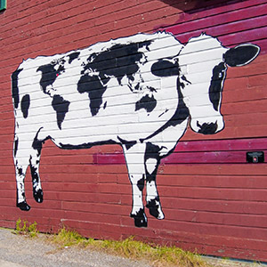 Mural of Cow in Bristol Vermont