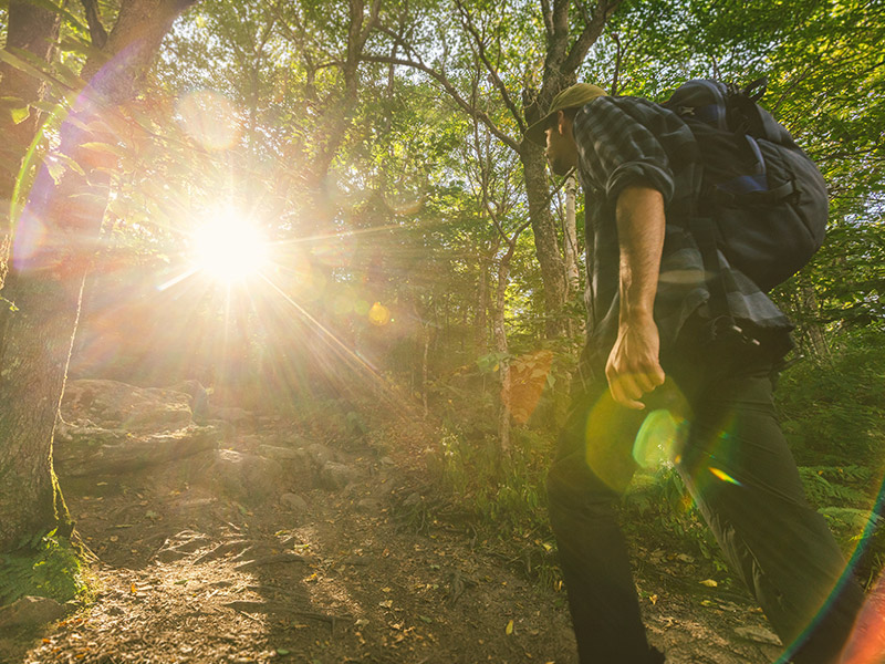 Man hiking up a mountain with sunlight shining through the trees